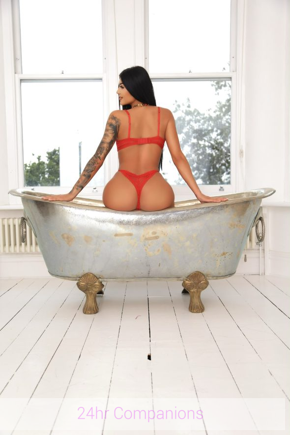 Naughty Vicky Brunette 24hr Companions Escorts